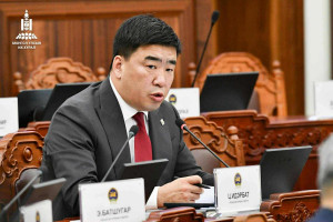 Ц.ИДЭРБАТ: ХҮҮХЭД ХАМГААЛЛЫН ТУХАЙ ХУУЛИЙГ БАТЛУУЛСАН, ОДОО ХҮҮХЭД ХӨГЖЛИЙН ТУХАЙ ХУУЛЬД АНХААРЧ БАЙНА